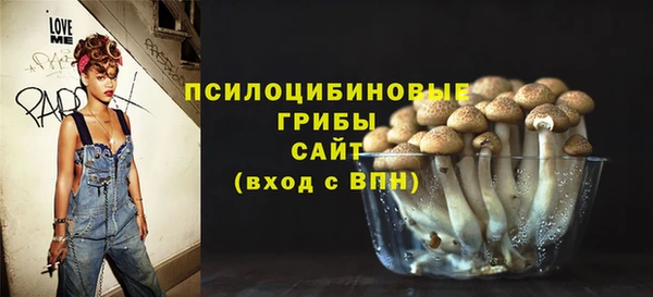 спиды Михайловск