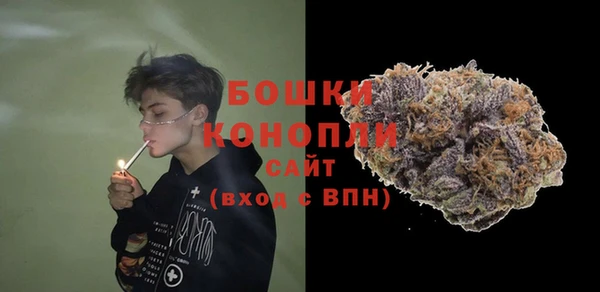 индика Михайловка