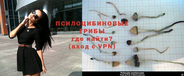 дживик Михайлов