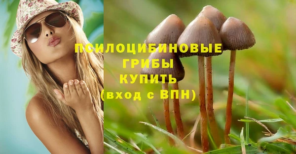 спиды Михайловск