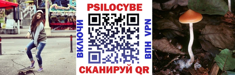 Галлюциногенные грибы мухоморы  Чадан 